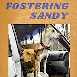 Andria Alefhi Lamberton - Fostering Sandy: One Month With a Foster Dog and What We Learned
